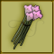 Fleures